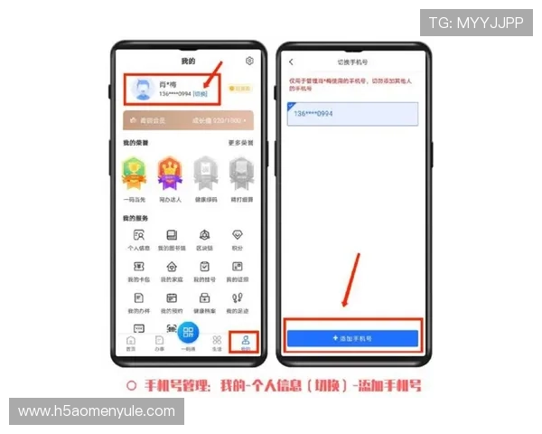 澳门娱乐城手机版平台登录流程详解及常见问题解答